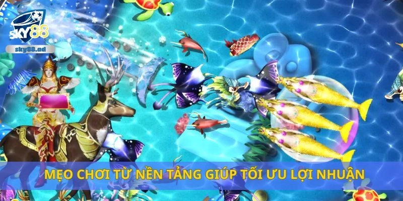 Mẹo chơi từ nền tảng giúp tối ưu lợi nhuận