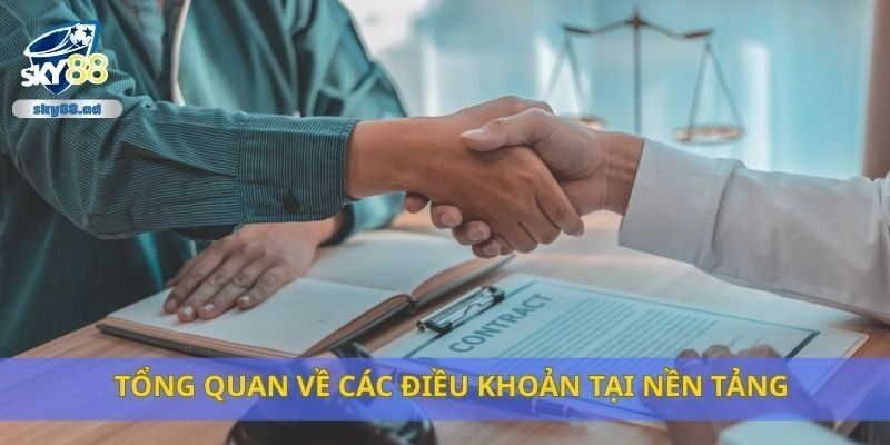 Tổng quan về các điều khoản tại nền tảng