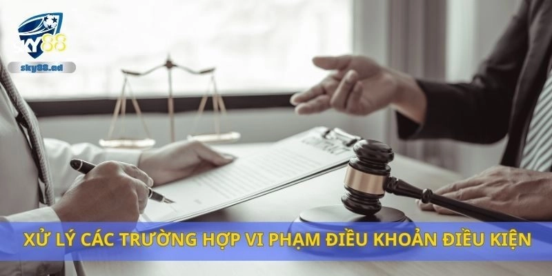 Xử lý các trường hợp vi phạm điều khoản điều kiện Sky88