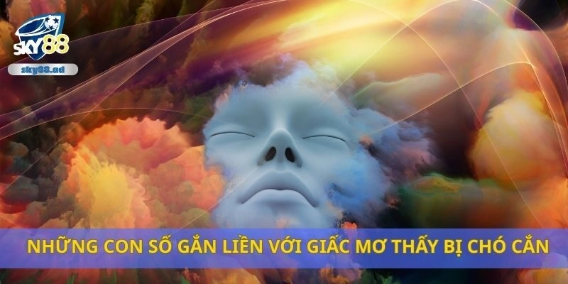 Những con số gắn liền với giấc mơ thấy bị chó cắn