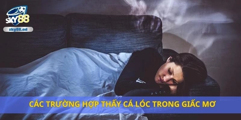 Các trường hợp thấy cá lóc trong giấc mơ