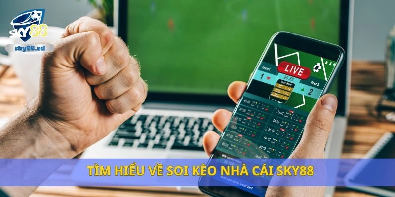 Tìm hiểu về soi kèo nhà cái Sky88